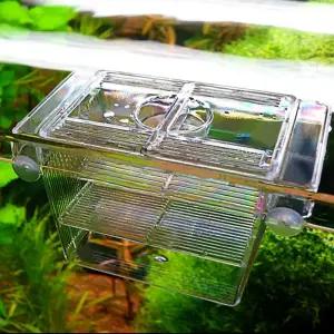 구피 열대어 치어 키우기 미니 어항 치어통 부화통 iBx6+9Uwb