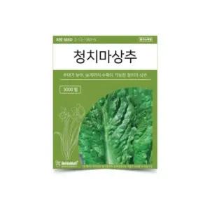베하몰 텃밭 채소 씨앗 청치마 상추