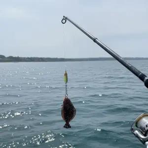 [골드스마일]바다물고기키링