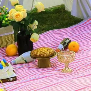 비비드 체크 방수돗자리 휴대용 감성 피크닉 매트 야