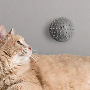 흡착 그루밍 고양이 브러쉬 셀프 캣잎