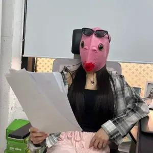 가면 물고기 얼굴 핑크