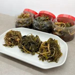 1+1 국산 봄나물 장아찌 3종 세트 냉이 두릅 방풍 반찬 절임 밥상용