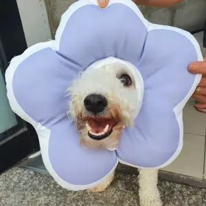 강아지 고양이 꽃모양 넥카라 쿠션 L 퍼플