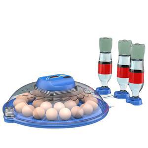 계란 부화기 달걀 메추리 가정용 회전 조류 육추기 병아리 유정란
