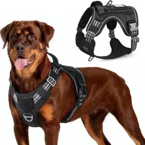 대형견을 위한 래빗구 전술 개 하네스 손잡이와 어금니가 있는 군용 조끼 착용 금지 보행 훈련을 간편한