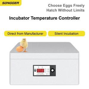 12V 디지털 온도 조절기 부화기용 알 조명 기능 MOSFET 자동 제어 LED 디스플레이 센서 포함