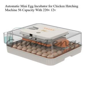자동 미니 소형 호환 계란 부화기 닭 56개 용량 220v/12v