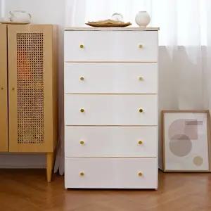 [보노하우스]데이지 우드상판형 서랍장 5단 플라스틱 수납장 옷 수납 정리함