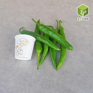 오이고추(특) 1kg