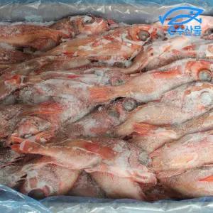 e수산물 업소 식당용 냉동붉은볼락 한박스 12kg 60마리 장문볼락 열기 적어 구이용 빨간생선