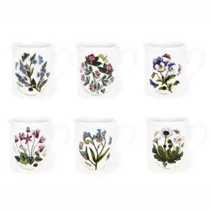 [포트메리온]보타닉가든 BF머그 6p