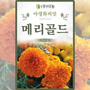 다농 메리골드 씨앗 100립 아프리칸메리골드 꽃씨 야생화 종자