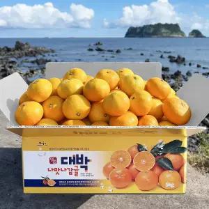 신선한집 서귀포 효돈 노지 감귤 주스용 특대과(2L이상) 10kg