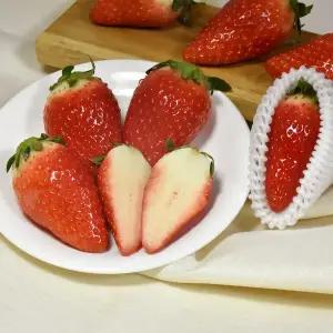 새벽수확 논산 킹스베리 딸기 1kg 특 왕특 대왕딸기 제철과일