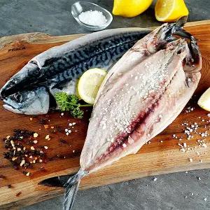 냉동 노르웨이 자반고등어 320-380gx10팩