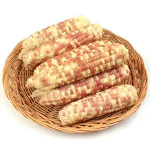 [자연마루]냉동 홍찰옥수수 중(12-14cm내외) 10개 /2세트 주문시 25개 발송