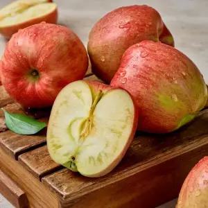 팜스프링 안동 햇 부사사과 상품 3kg 21과내외) 외