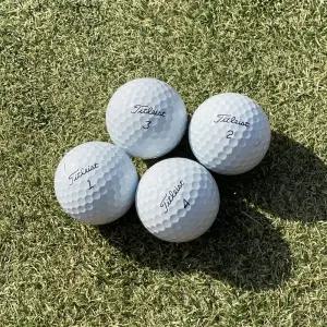 비재생 로스트볼 타이틀리스트 Pro V1 3PC 최상급 A- 화이트 골프공 10구