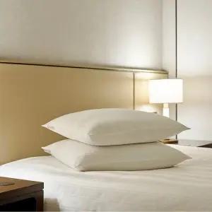 [롯데호텔앤리조트]해온 클래식 거위털 베개