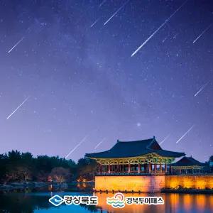 경북투어패스 프리미엄권 / 경주 여행 관광지 가볼만한곳 체험 동궁과월지 카페 박물관 성류굴