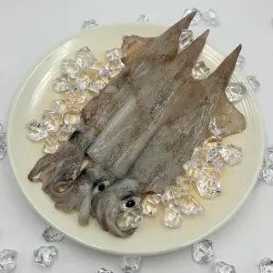 국내산 동해안 제철 급냉 한치 1kg (15미 내외) 싱싱한 비손질 통한치