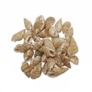 뚝딱 소라류 미니소라 500g 약200개