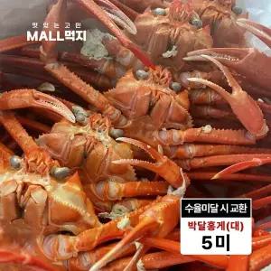 [수율미달시 교환가능]제철 봄 깊은바다 울릉도 독도 붉은대게 속초 최상급 박달홍게 대 2kg (5미)