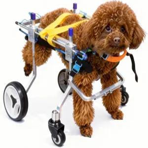 LetPetRun 사륜 조절 가능한 반려견 휠체어 장애인 반려동물을 위한 경량 모빌리티 자전거 트레일러 조립이