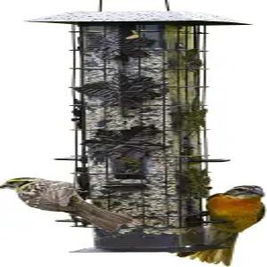 퍼키펫 336-1SR 다람쥐-사라진 다람쥐 방지 새 모이통 2LB 무게 활성화 농어가 있는 야외 야생