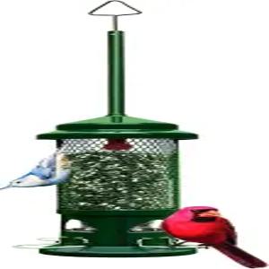 다람쥐 버스터 표준 방지 새 모이통(메탈 퍼치 4개 포함) 1.3파운드 시드 용량 정원 그린