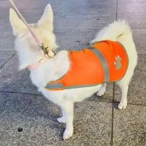 애견 조끼 반사 L