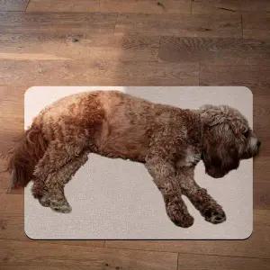 XL 알루미늄 애완동물 패드