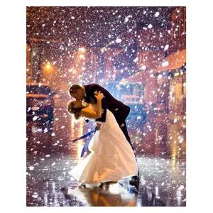 (OH) OH-M 명화 유화그리기 A-274 스페셜 웨딩촬영 40x50팝아트 홈인테리어 그림그리기세트 액자만들기 셀