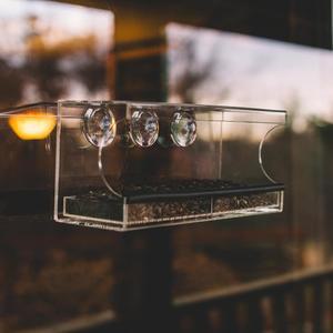 Backyard Expressions 투명 창문 새 모이통, 및 있는 배수 조류 아크릴 흡착 피더, 내장 강력한 컵, 실내 관찰용 횃대가 대용량 트레이