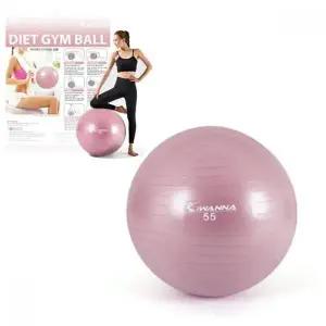 짐볼 55 볼 팡팡볼