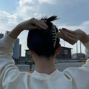 예쁜 연핑크 겨울왕국2 왕관집게핀 여성 인기