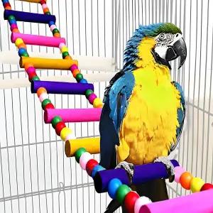 앵무새 다리 그네 장난감 그리고 마코 아프리카 그레이 버지 코카티엘 잉꼬를 위한 사다리용 새 - 놀이와