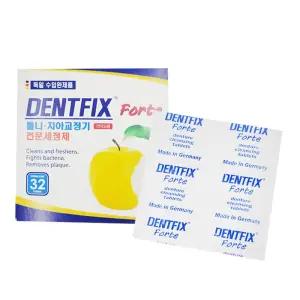 덴트픽스 포르테 32정 틀니세정제 틀니보관 덴트픽스