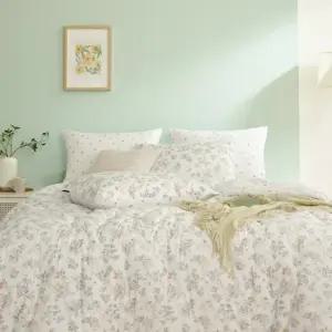 비온 60수아사면 차렵베개세트Q