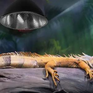 온열등 파충류 히팅조명 사육장 조명용 메탈 열전달 방지망 커버 그릴 램프 보호막 철망 열차단막