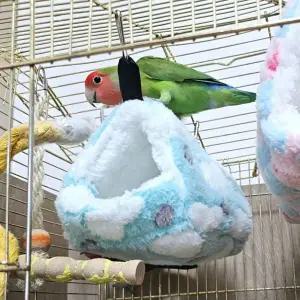 소 하트둥지 포치 앵무새