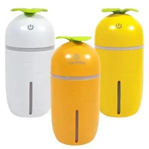 [셀러에이드]BS 캐롯 가습기