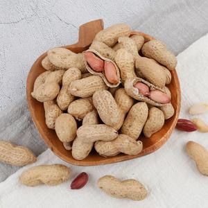 국산 땅콩 고소한 볶음 피땅콩 500g