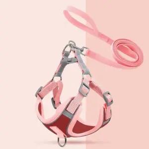 강아지옷 사랑스러운 내새끼 투톤 강아지 하네스 가슴줄 목줄 (WFJWZDR)