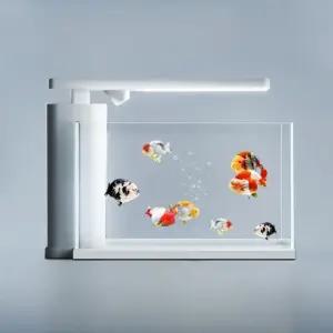 미니어항 세트 베타 구피 물고기 수족관 키우기 어항