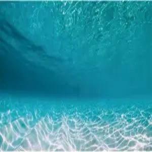 AWERT 48x24인치 해저 수족관 배경 수영장 수중 어항