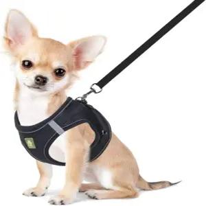 PEimaX 개 하네스 및 목줄 세트 당김 방지 통기성 소프트 메시 강아지 조끼 소형견과 고양이를 위한 반사형