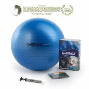 레드라곰마 짐네스틱 프리미엄 맥스카페 53