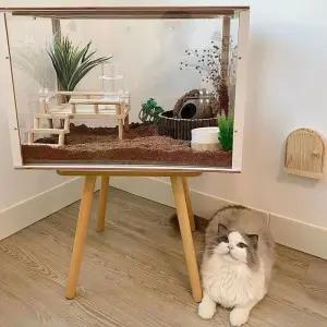 햄스터 하우스 80과일 공중 리빙박스 아크릴 투명 케이지 높이형 집